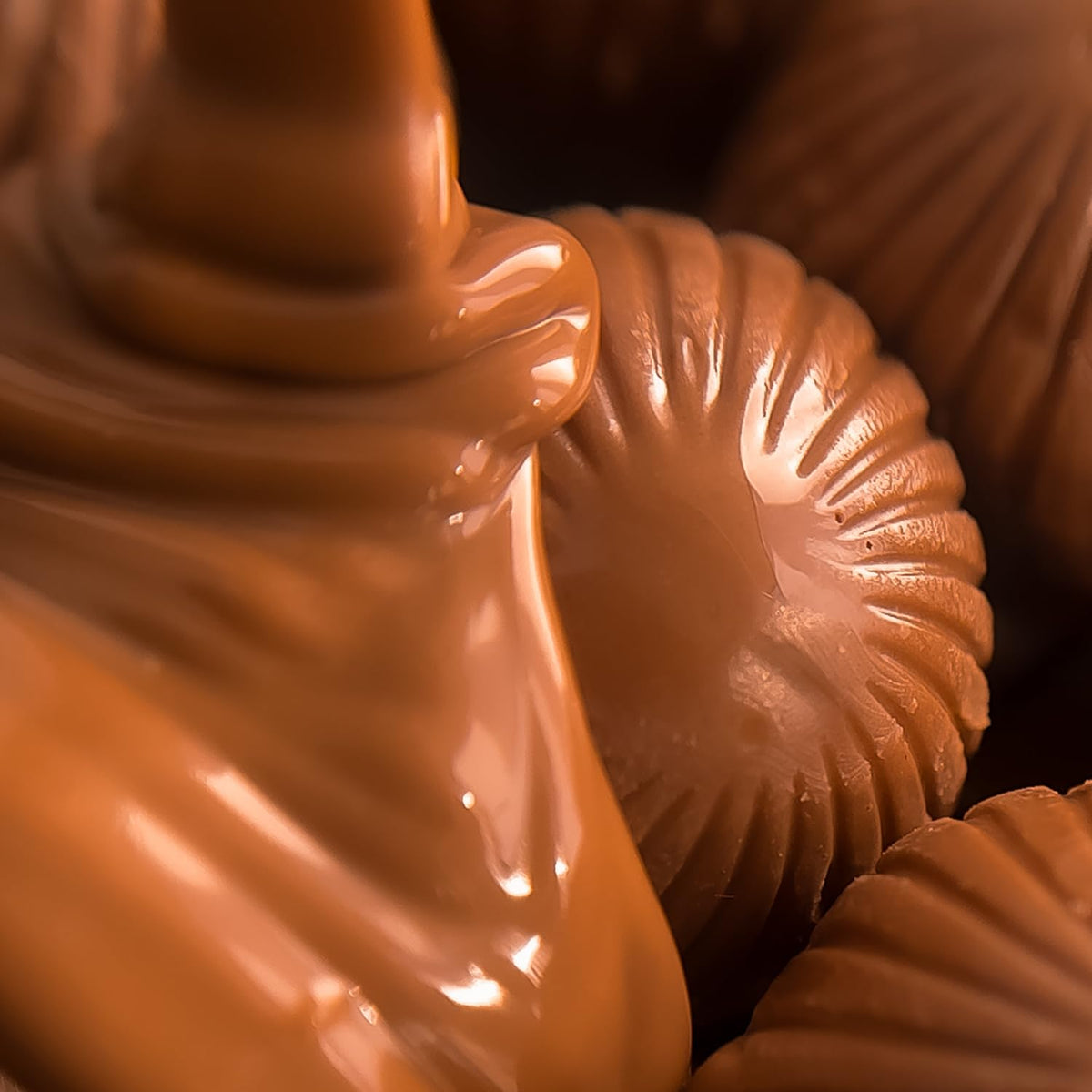 Beemax Dubai Style Chocolate Truffles 4.24oz (120g) Bag - image 4